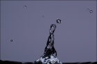 Photo gratuite goutte-d-eau