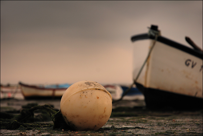 Bateaux 35