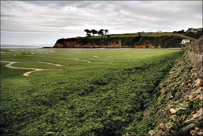 Plage 23