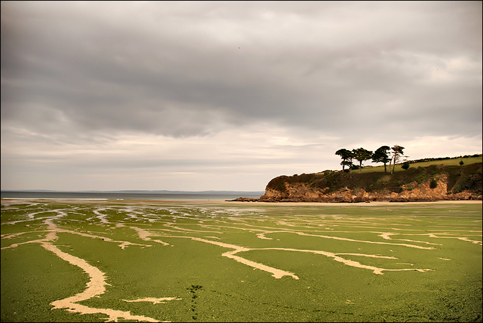 Plage 24