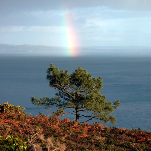 Arc en ciel 1