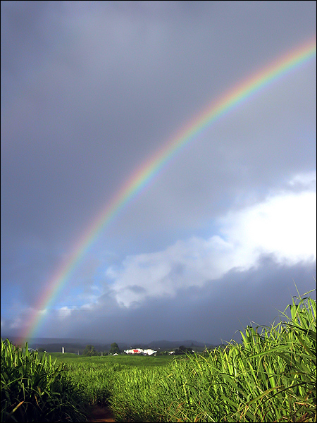 Arc en ciel 4