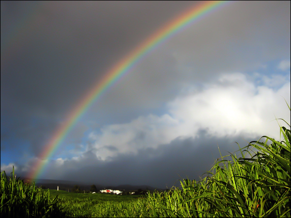 Arc en ciel 5