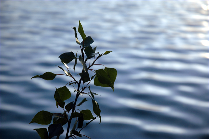Feuille 5