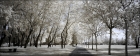 Photo gratuite infrarouge