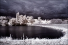 Photo gratuite infrarouge