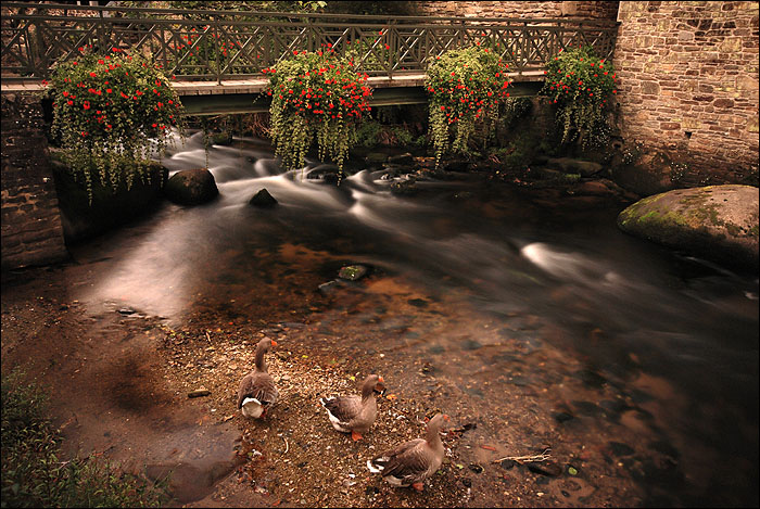 Riviere 25