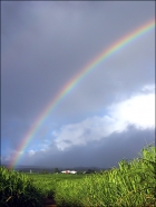 Photo gratuite arc-en-ciel